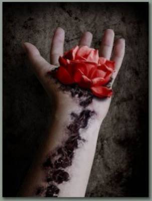 la rose